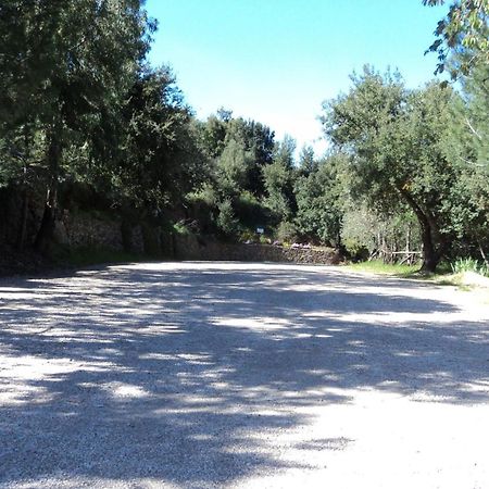 דורגלי Hotel Sant'Elene מראה חיצוני תמונה